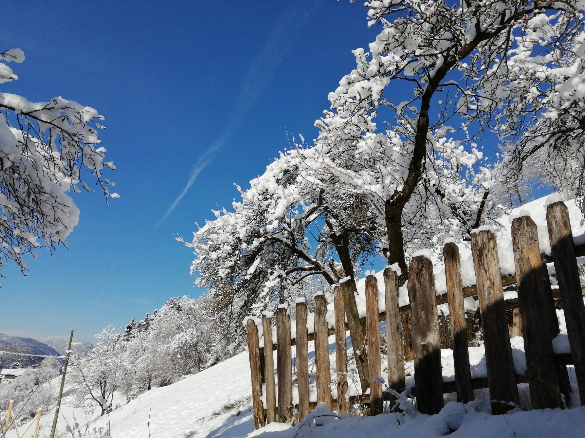 Hieblerhof foto 2