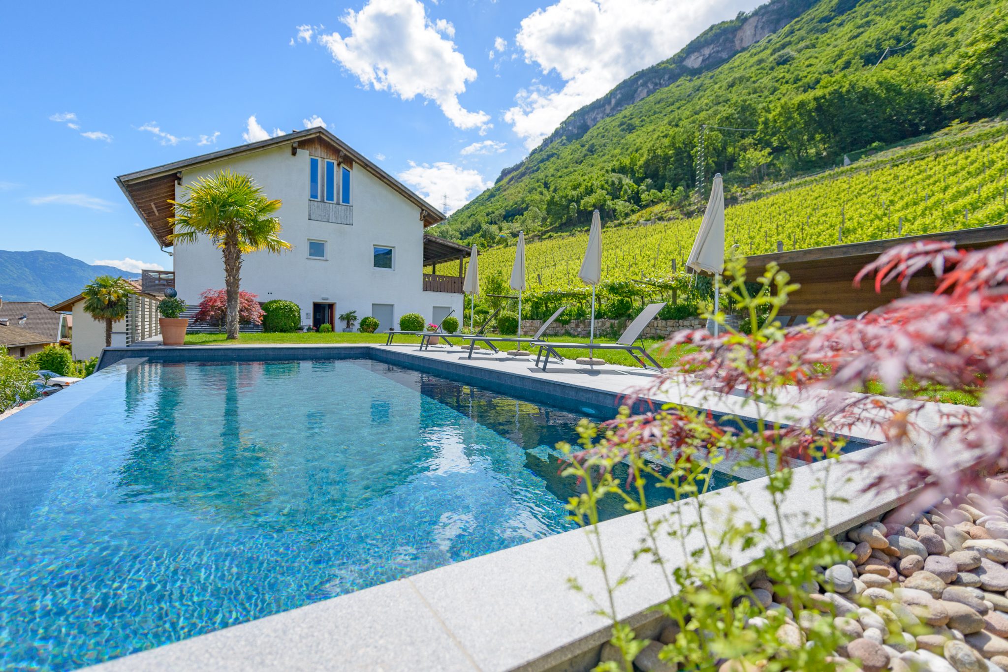 Agriturismo Runggnerhof foto 6