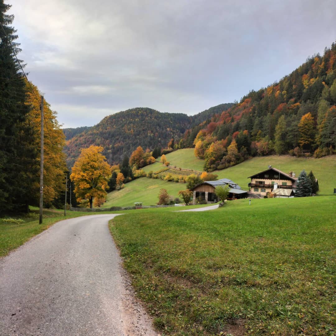 Agriturismo Fölserhof foto 3