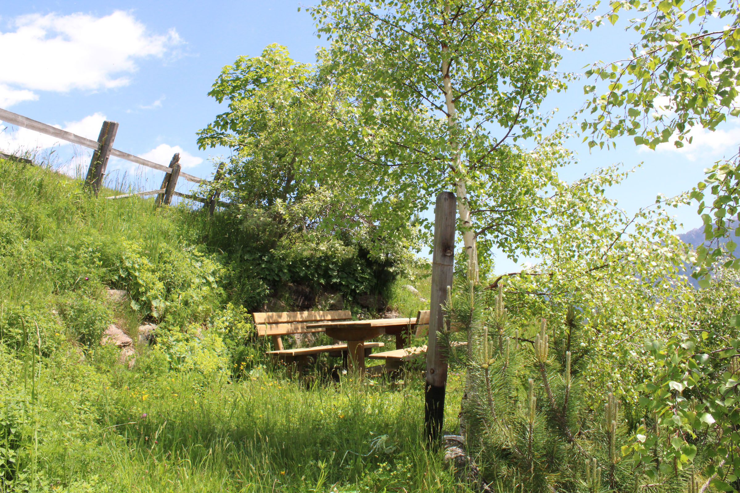 Agriturismo Oberhof - foto 5