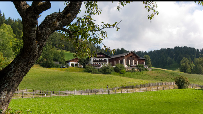 Wöserhof - foto 5
