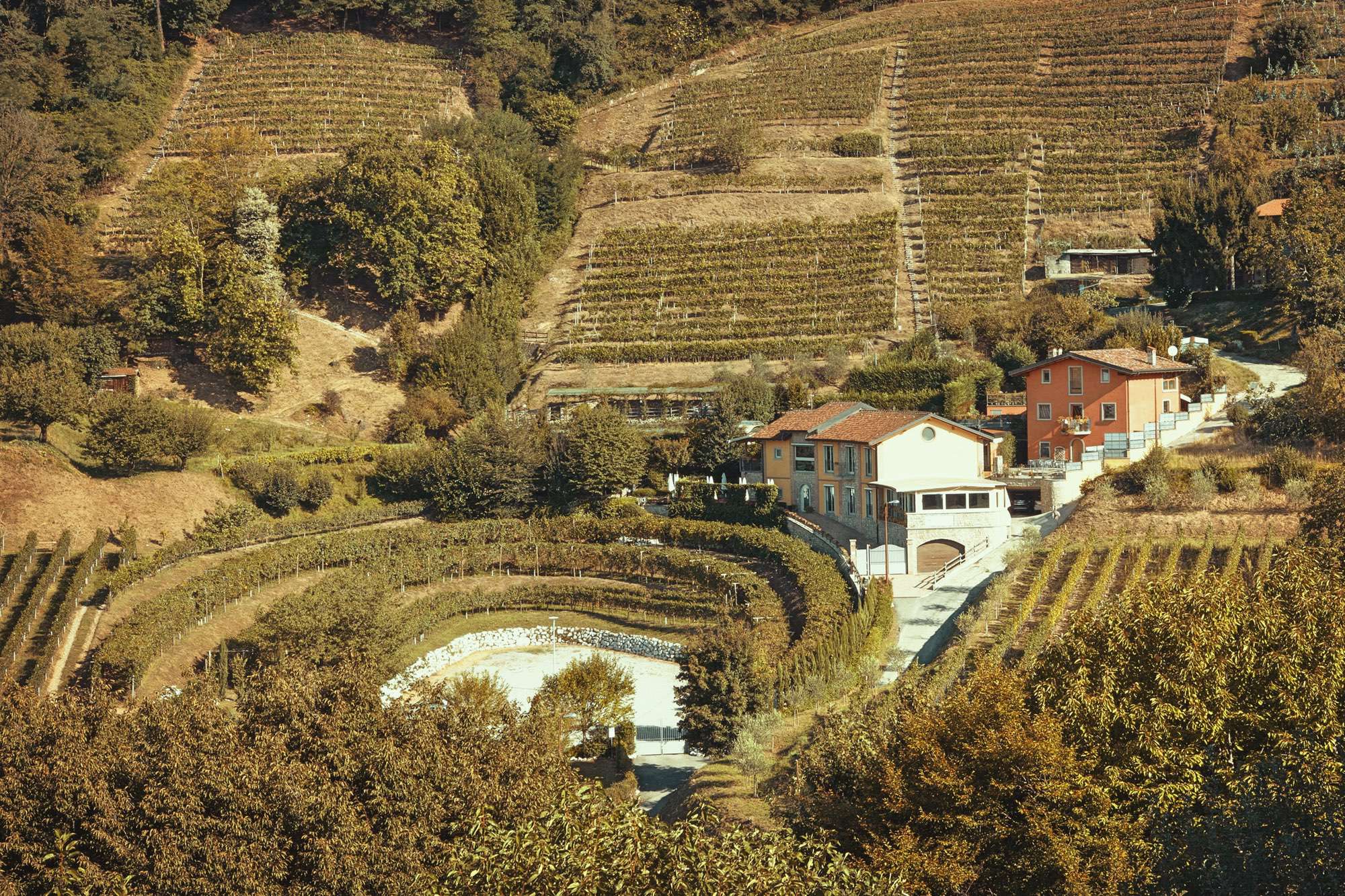 Tenuta Casa Virginia - foto 6