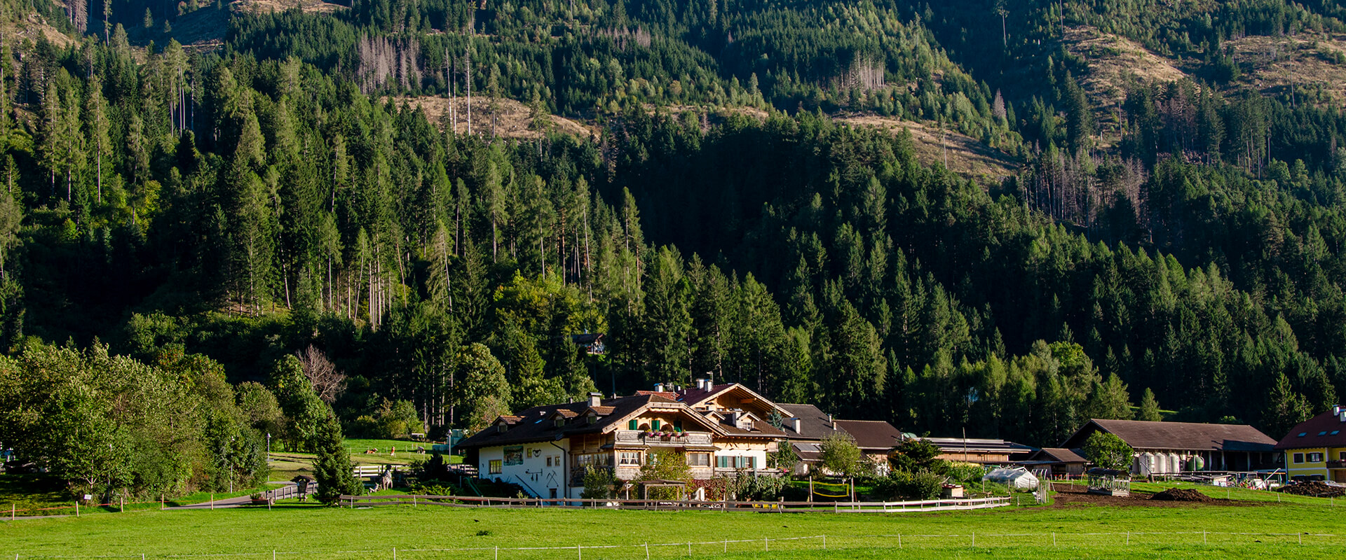 Agritur Mas dei Zalune Predazzo - foto 1