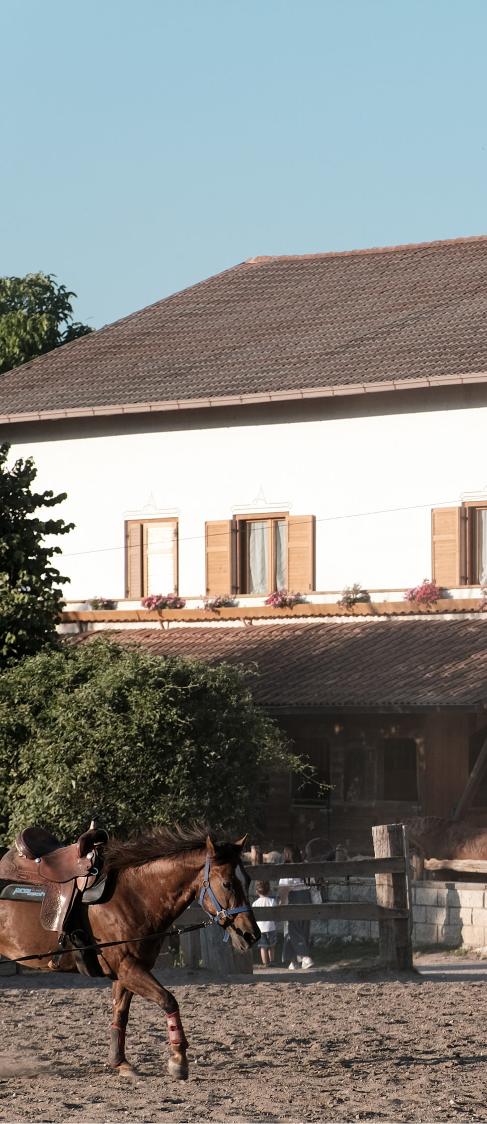Agritur Agostini - foto 5
