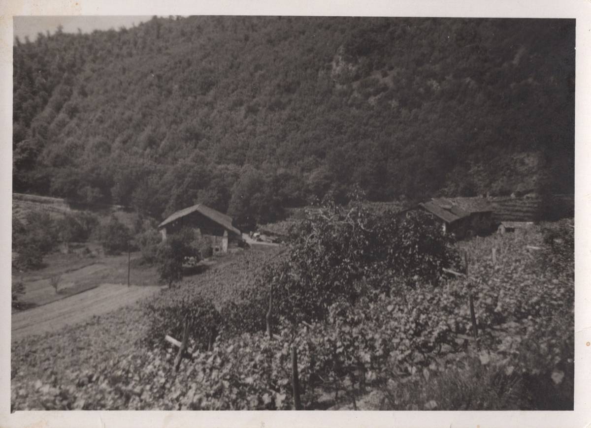 KREITHOF . GARNI BNB - foto 4