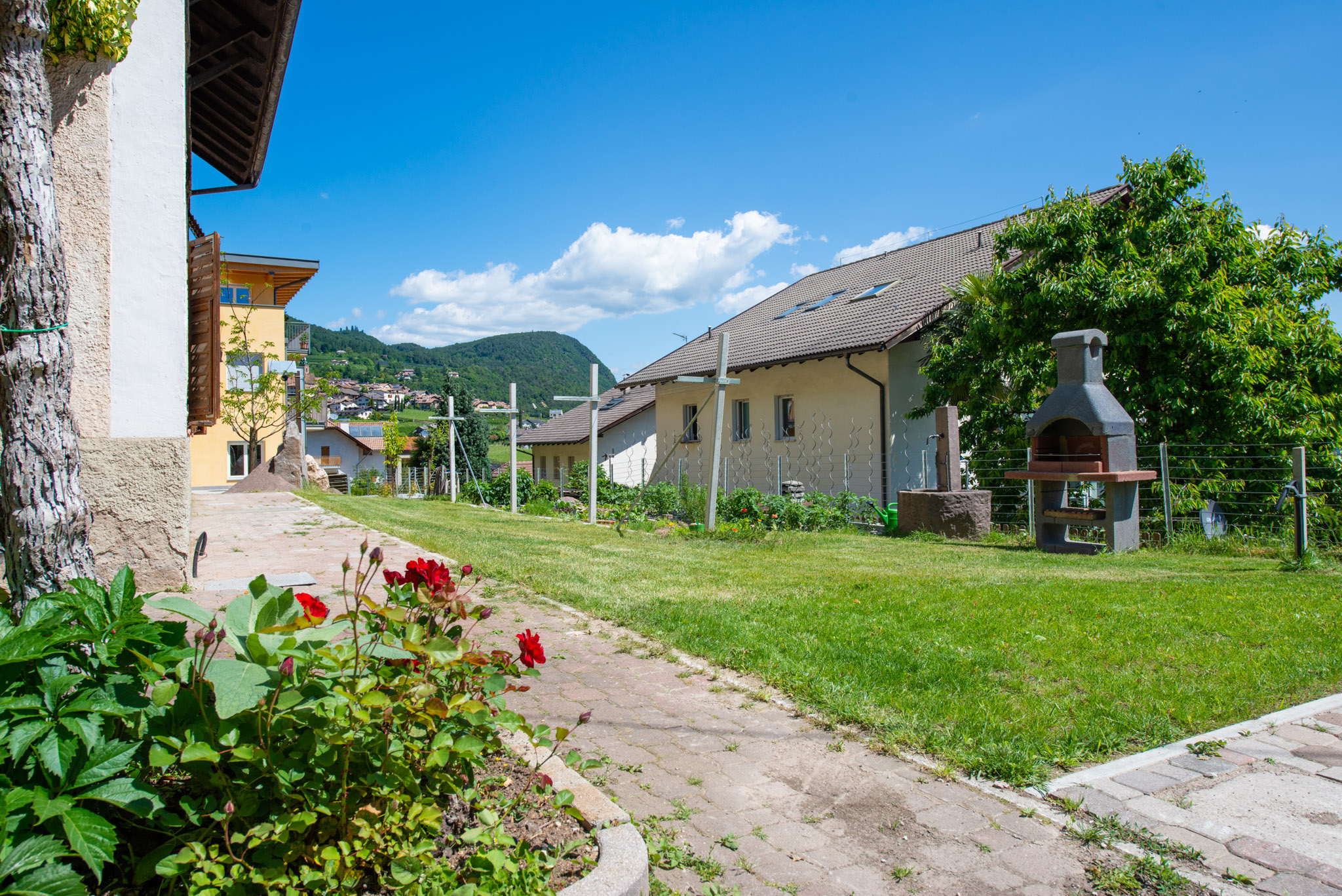Haus Zur Traube - foto 1
