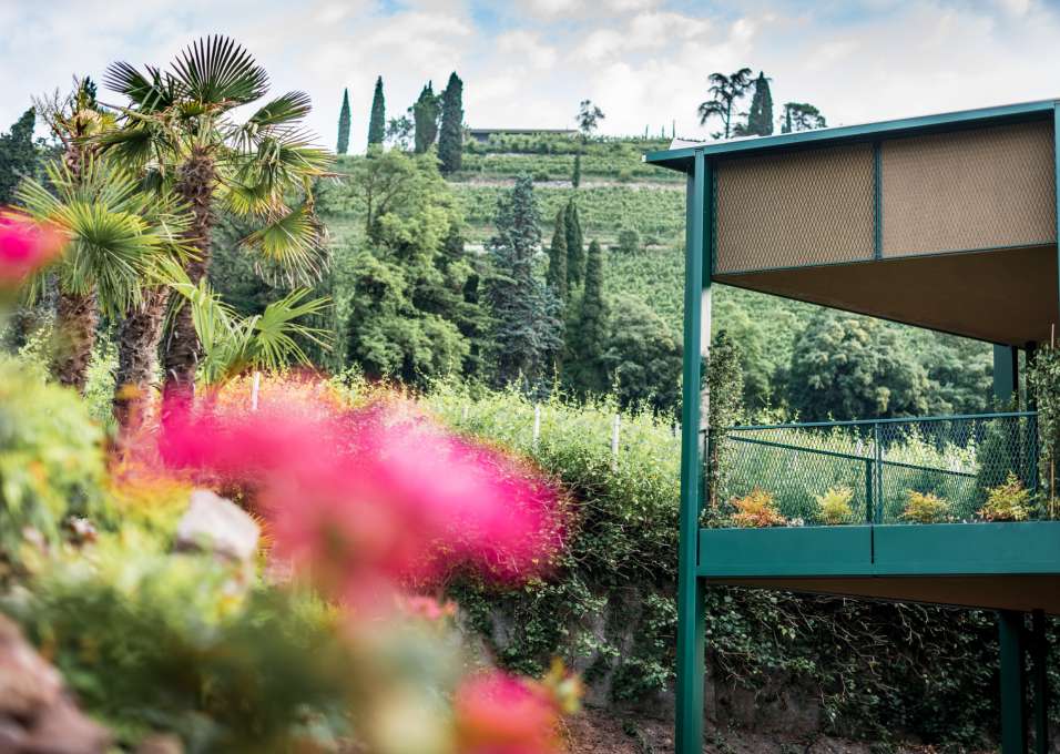 VILLA NAJ foto 3