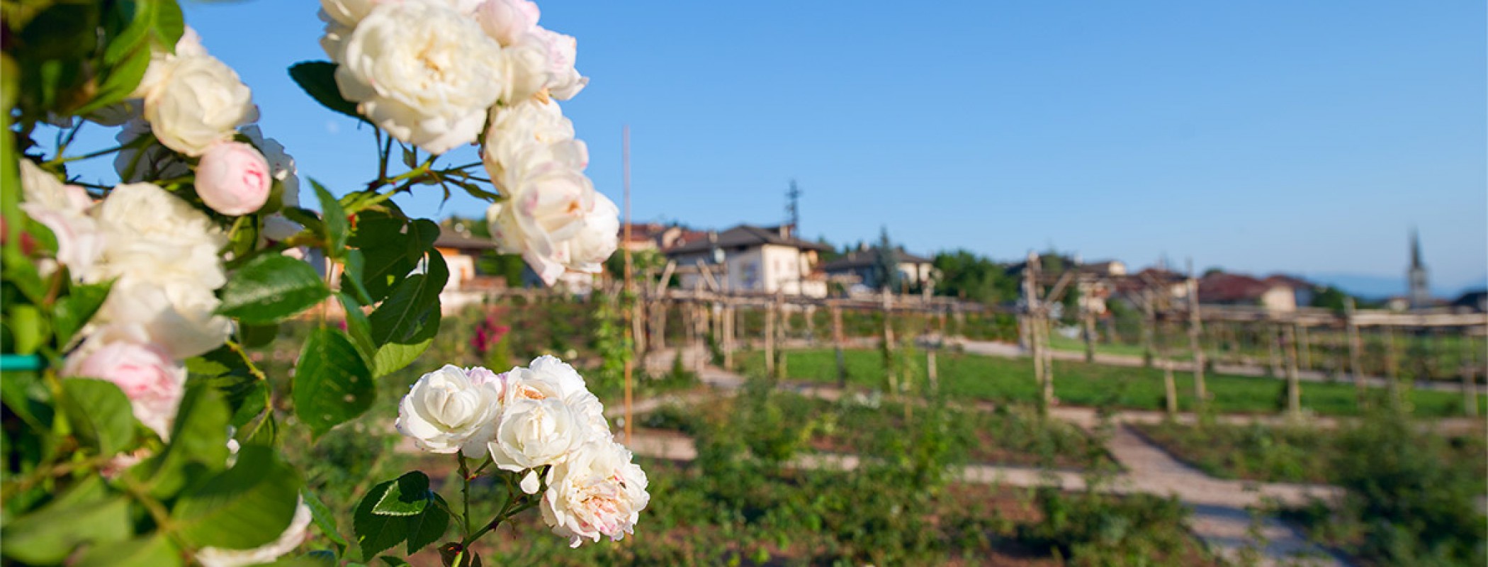 Dai Stoneri Affittacamere B&B - foto 6