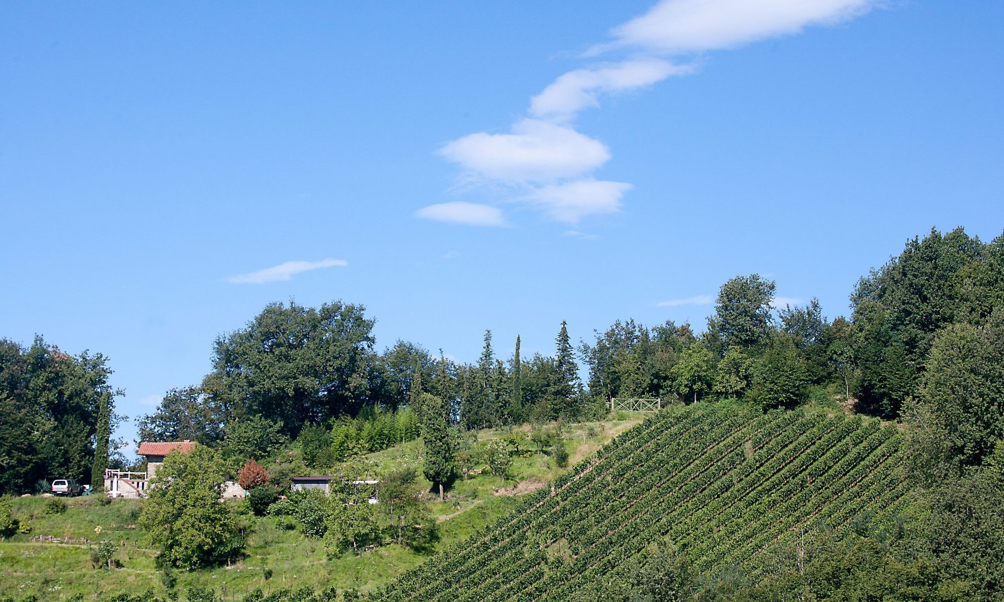 Le Driadi - foto 3