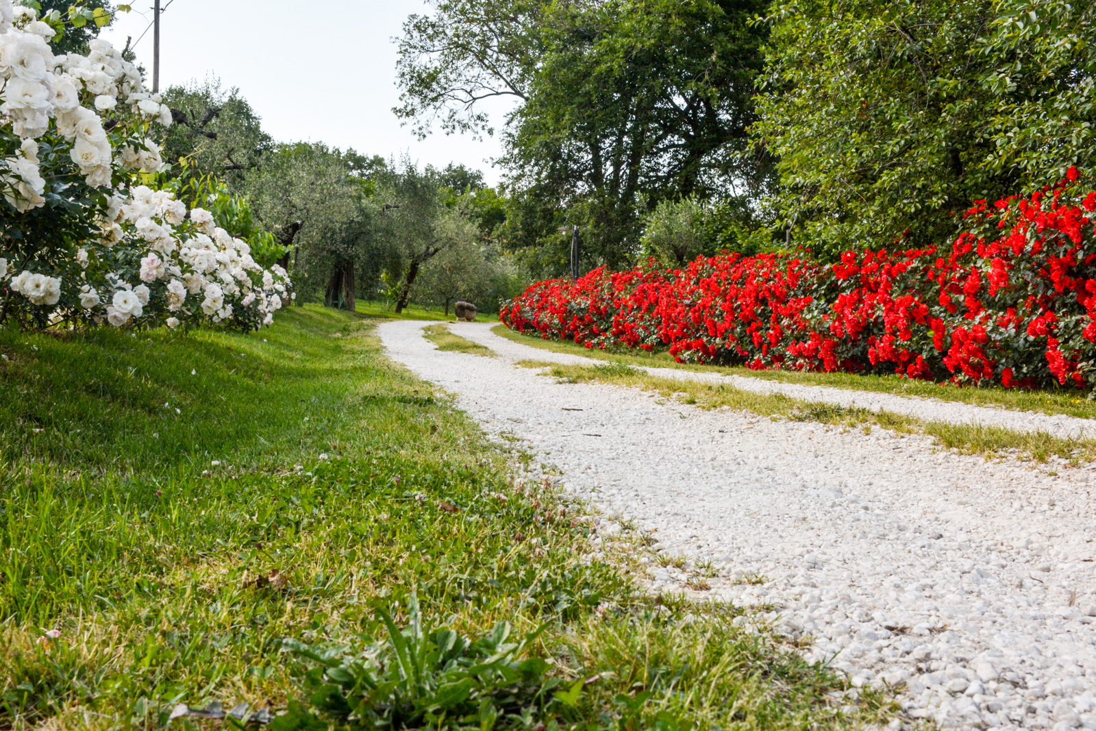 Agriturismo L'Arte del Verde - foto 3