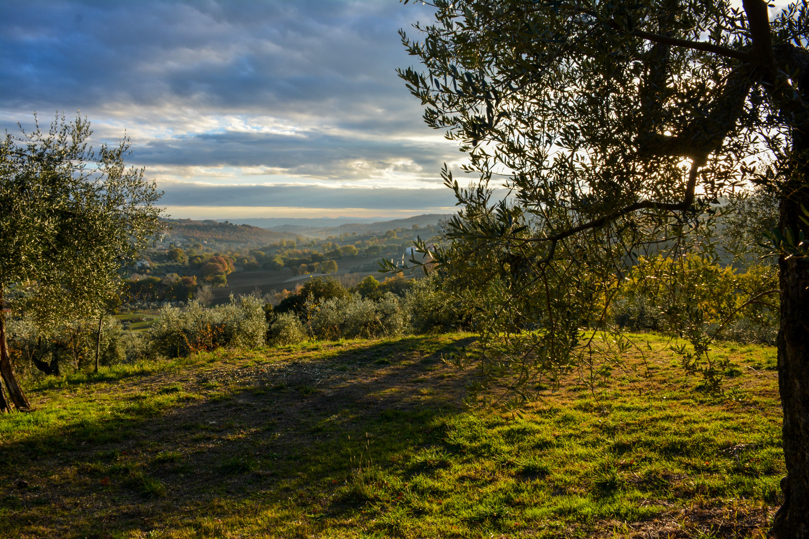 Agriturismo L'Arte del Verde - foto 4