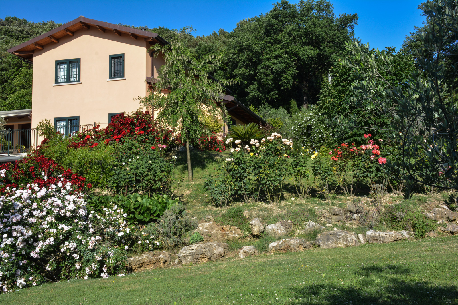 Agriturismo L'Arte del Verde - foto 5