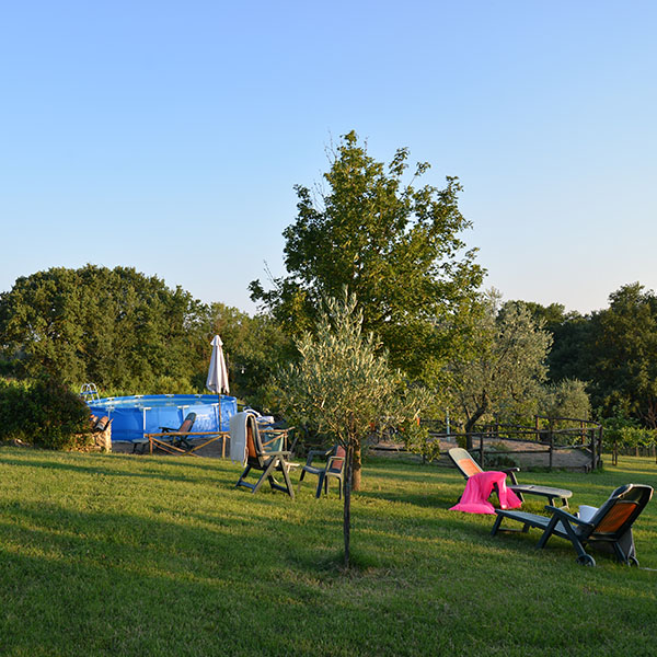 Agriturismo Podere dell'Olmo - foto 6