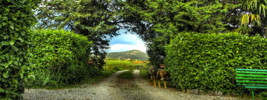 Agriturismo Antico Podere Roccobasso - foto 3