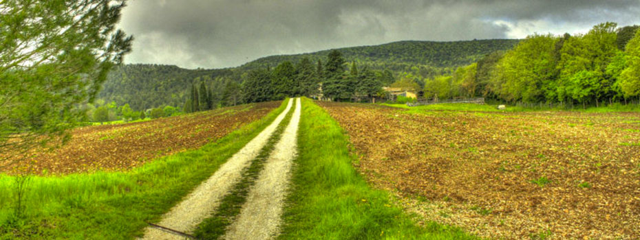 Agriturismo Antico Podere Roccobasso - foto 4