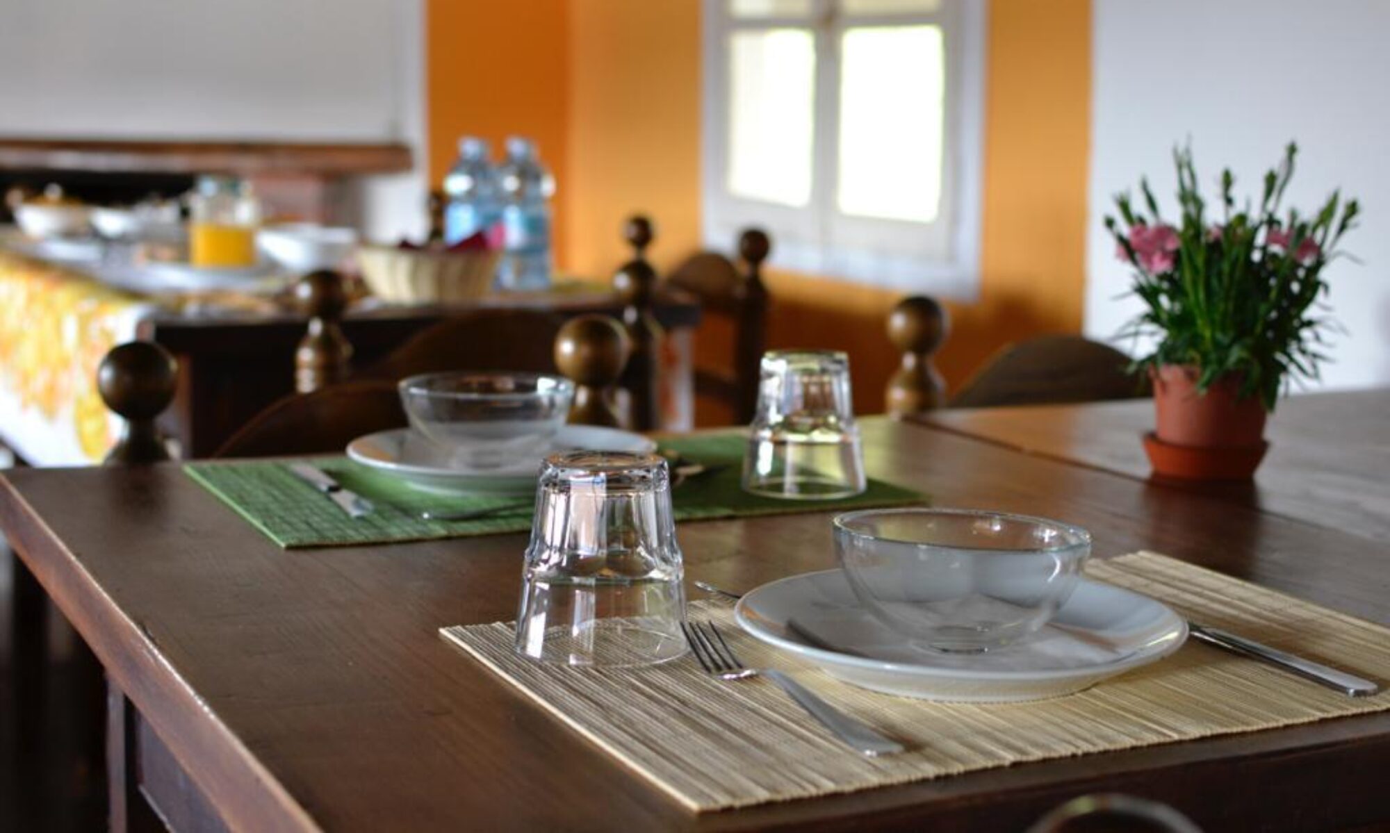 Fattoria del Pino - foto 1