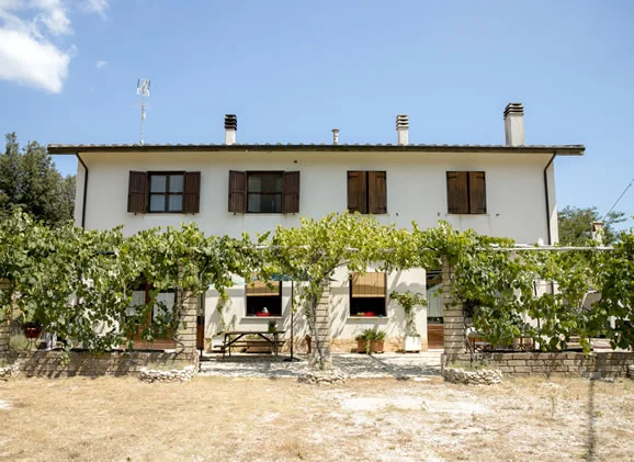 B&B La Casetta Lilla - foto 2