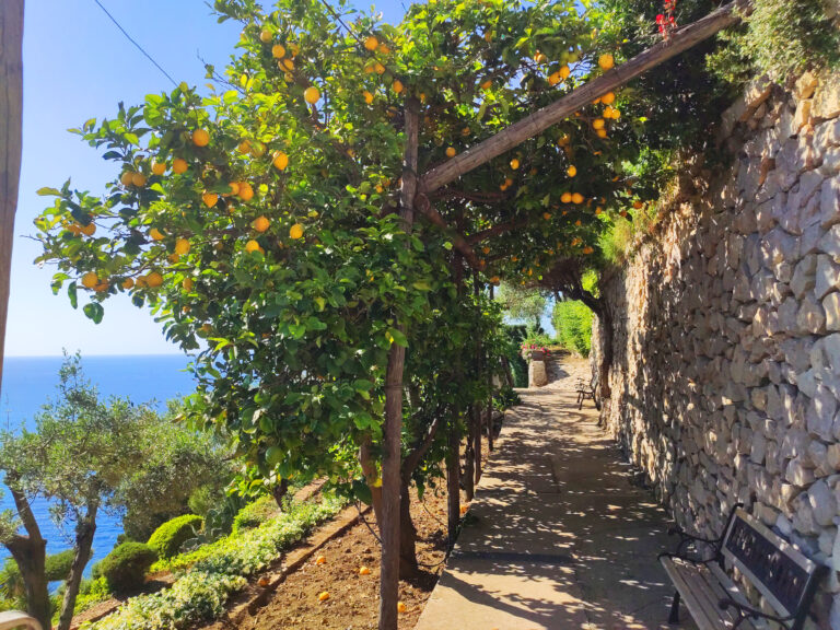 Casa Orrico - Blue Grotto - foto 3