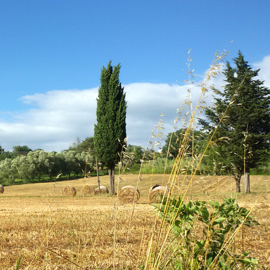 Le Piracante Bed&Breakfast foto 2