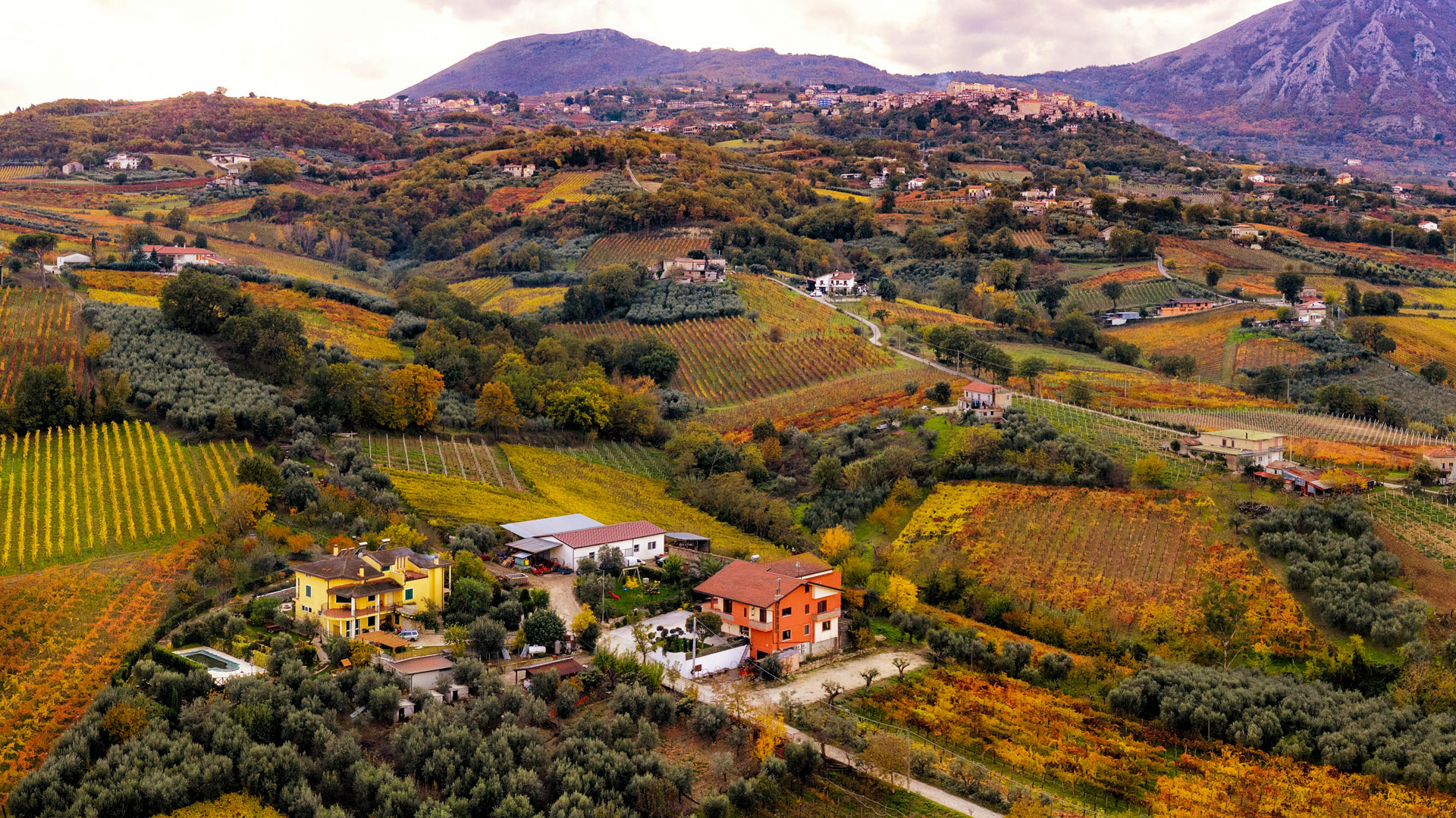 Agriturismo La Stella del Taburno - foto 2