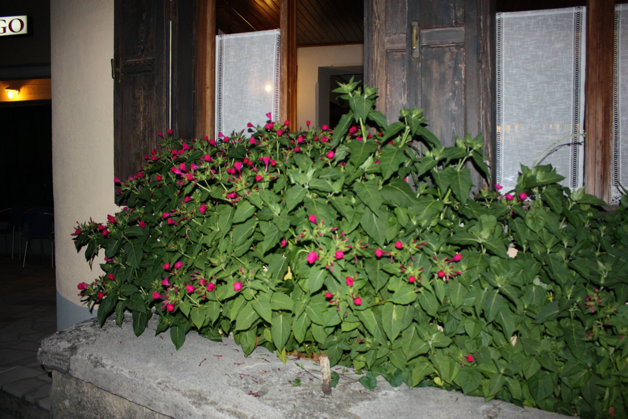 Albergo Dal Cortesan foto 5