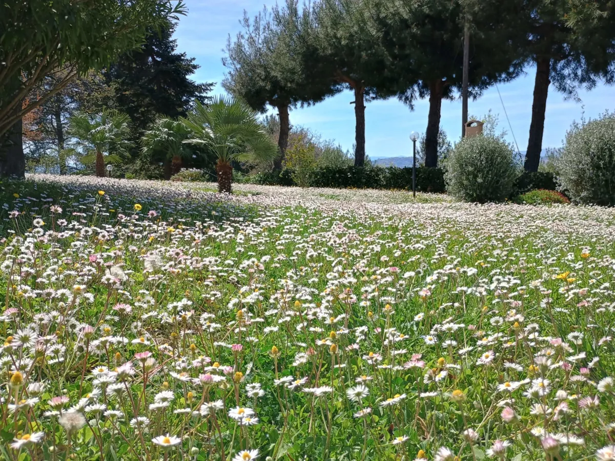 Poggio del Conero di Battistoni Arianna foto 2
