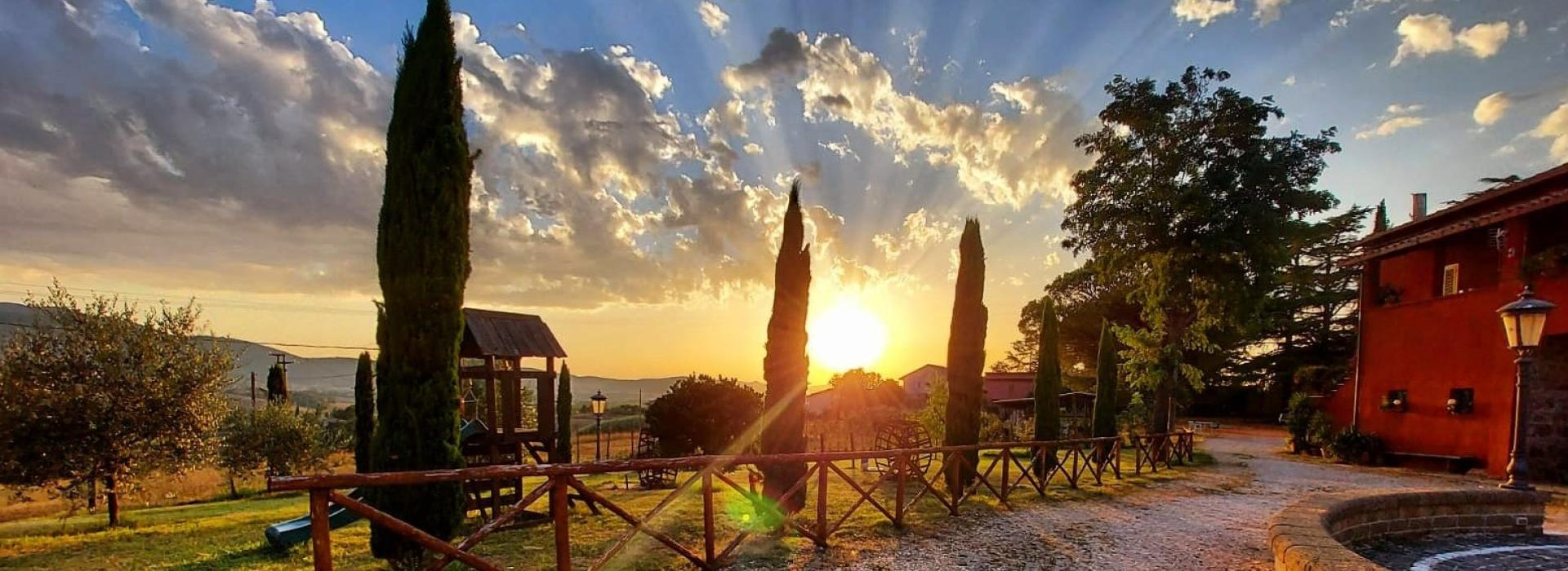 Agriturismo Tenuta Terre Dei Latini - foto 3