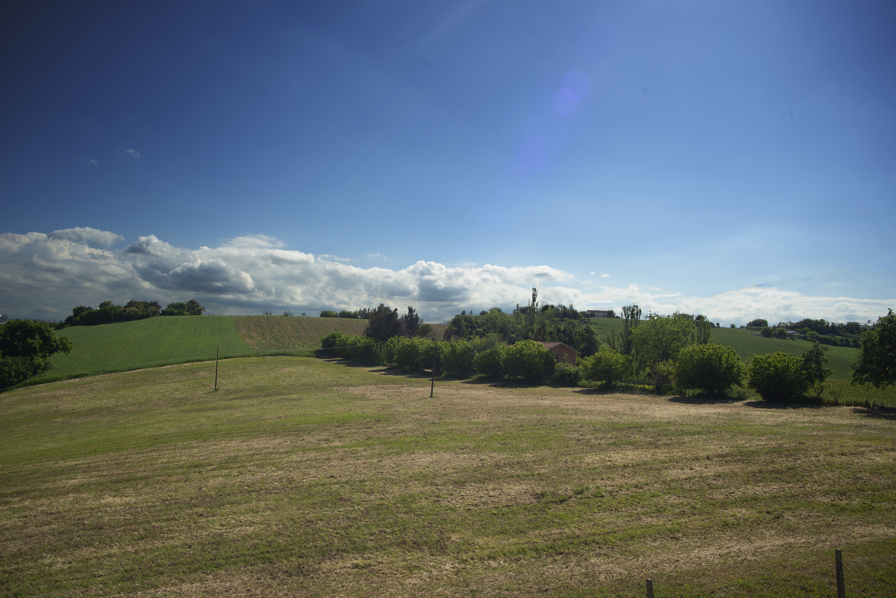 B&B Hill Ranch foto 1