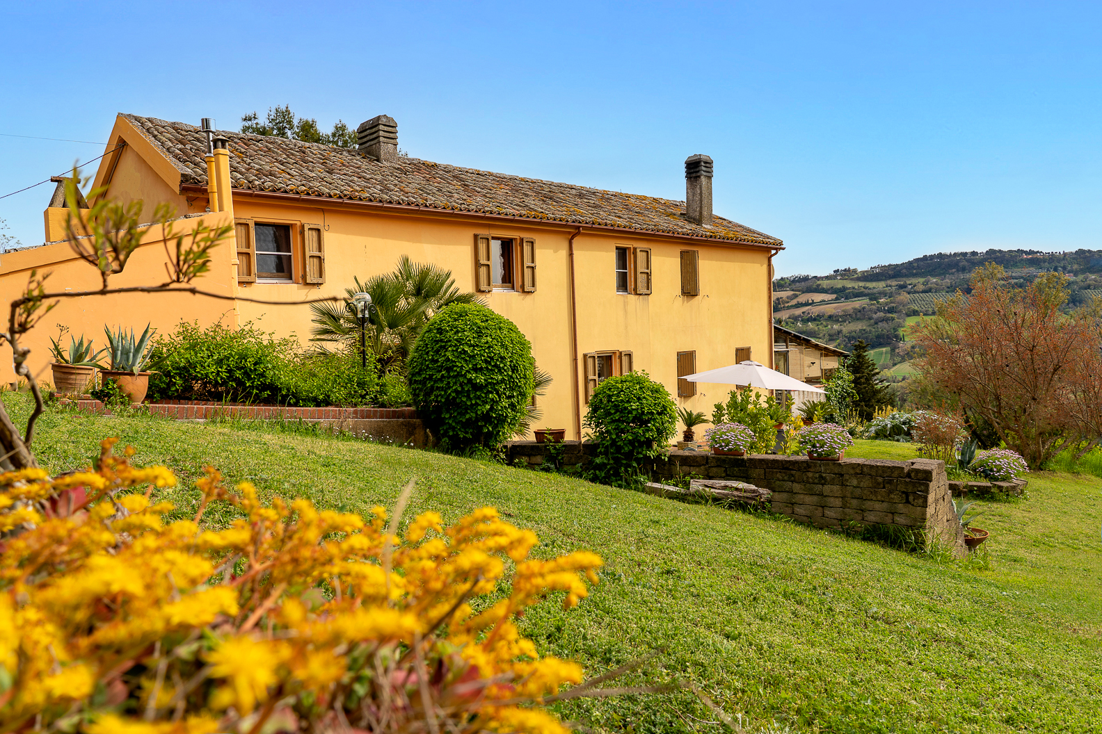 B&B Glicine - foto 3