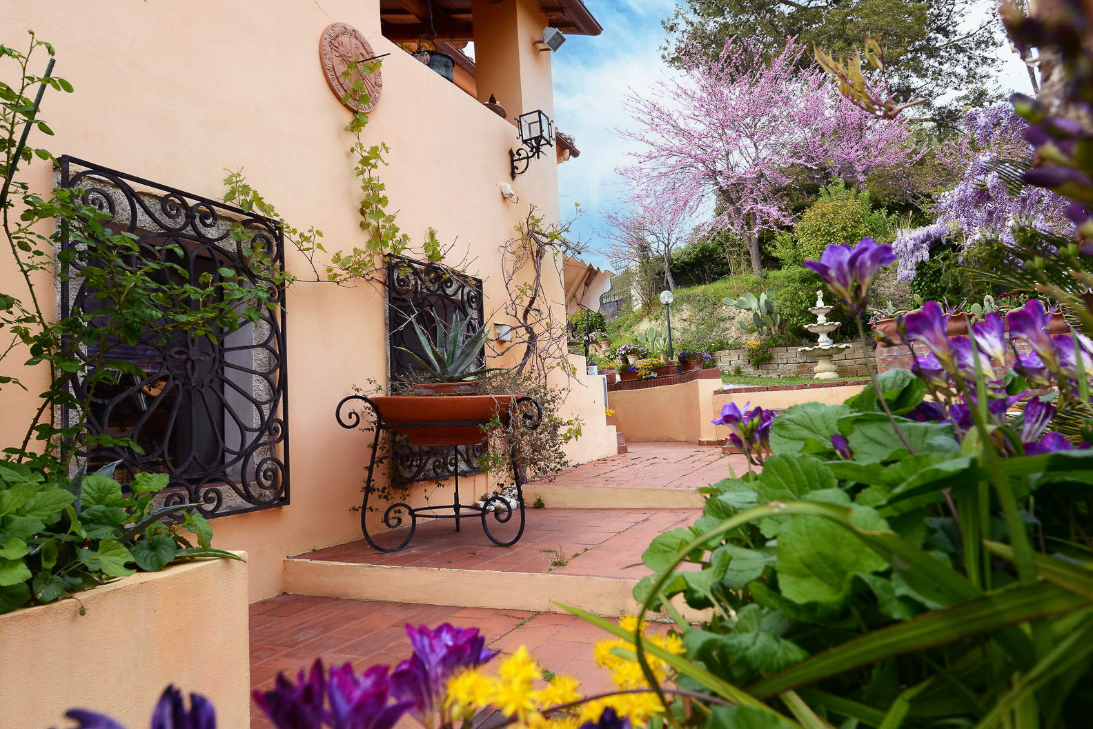 B&B Glicine - foto 4