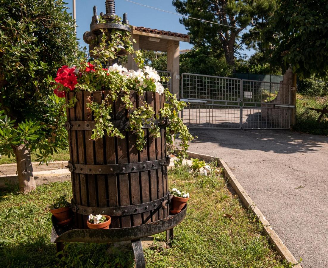 Cortile nel Conero - foto 1