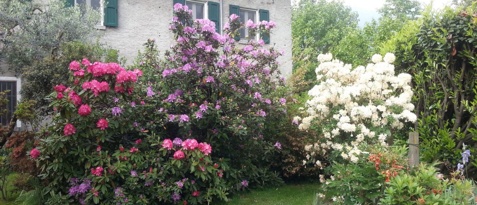 B&B L'Isola - foto 2