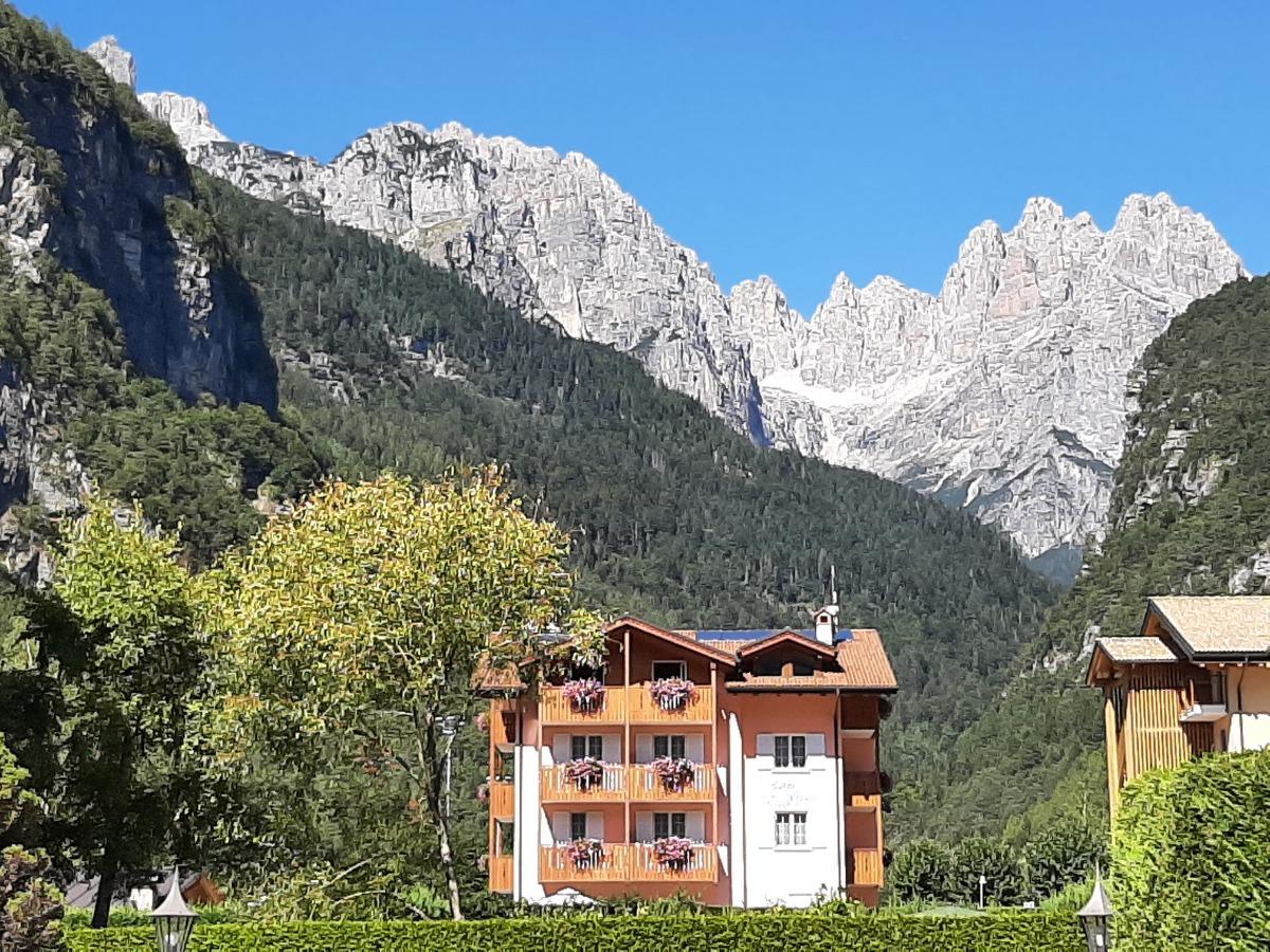 Hotel Garni Arnica - foto 4