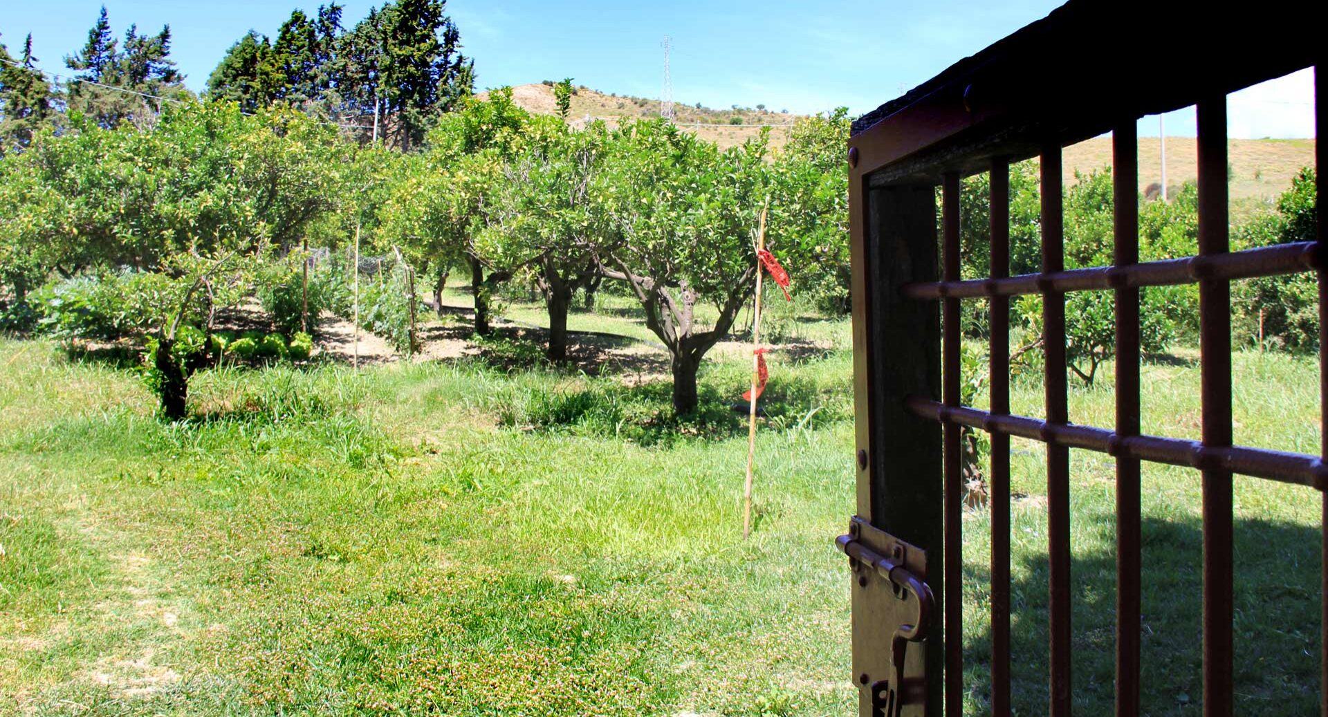 Locanda della Cucullera e Ristorante Villa Fortificata la Cucullera aperto a cena tutte le sere - foto 3