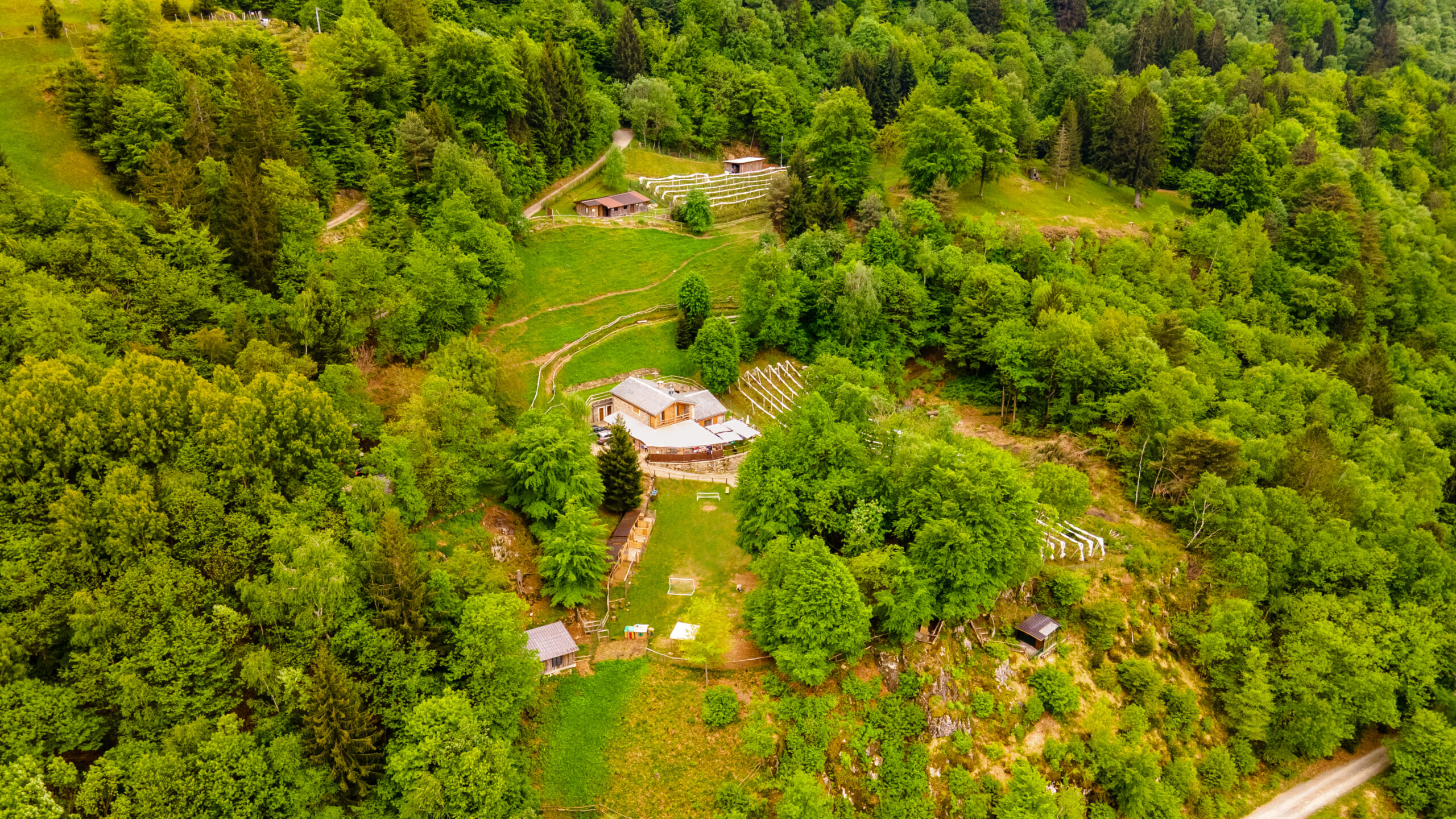 Agriturismo e Fattoria Didattica Sempreverde foto 1