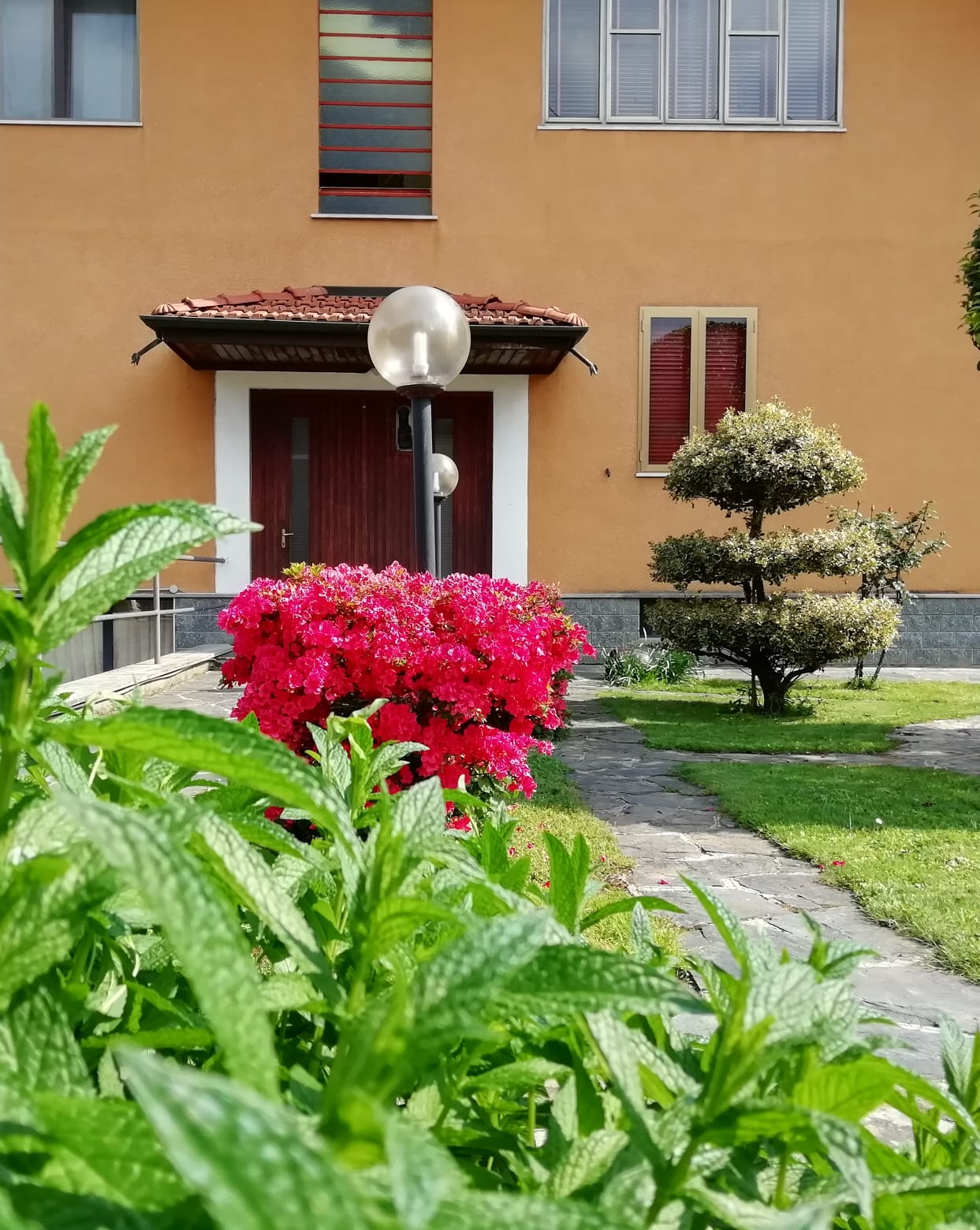 B&B Villa Luisa - foto 4