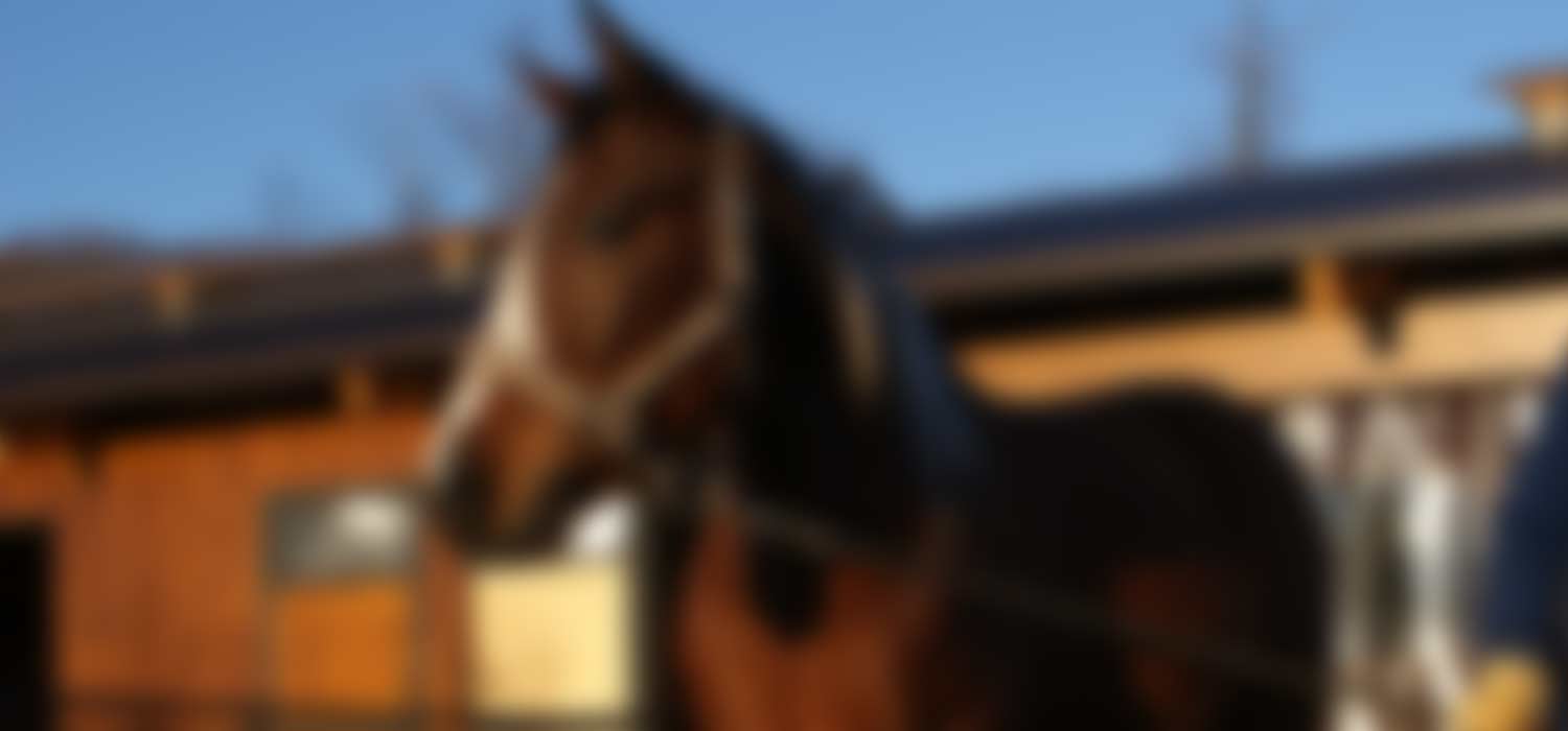 Il Binomio Agriturismo foto 1