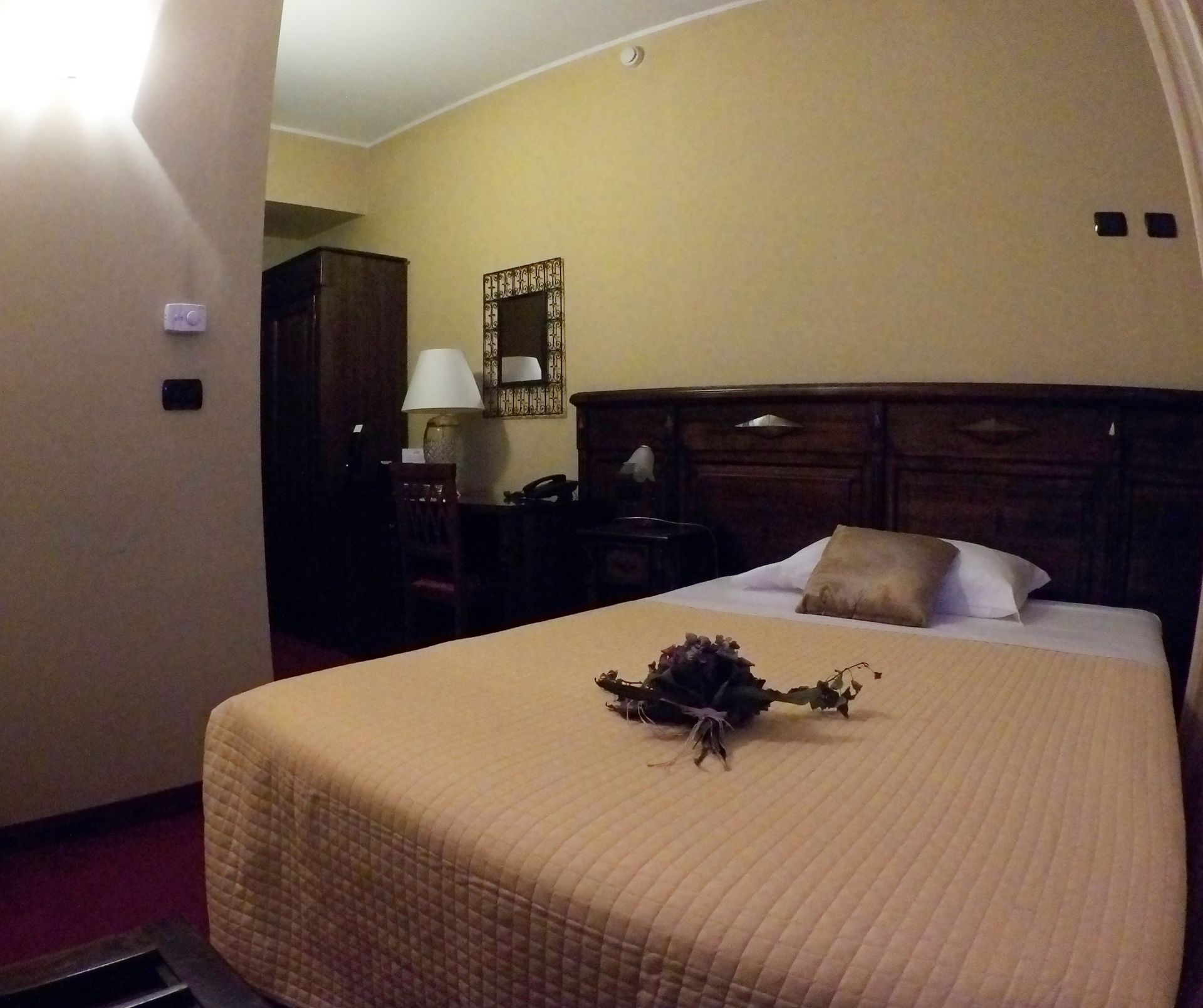 Hotel Damian - foto 3