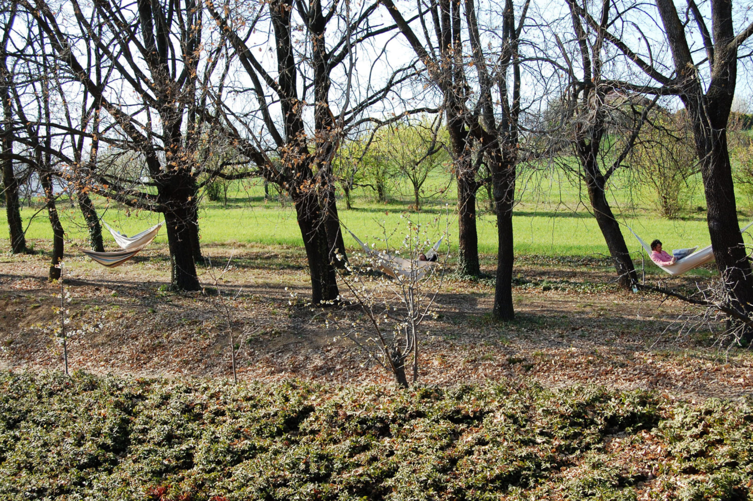 Cascina Pavassano foto 2