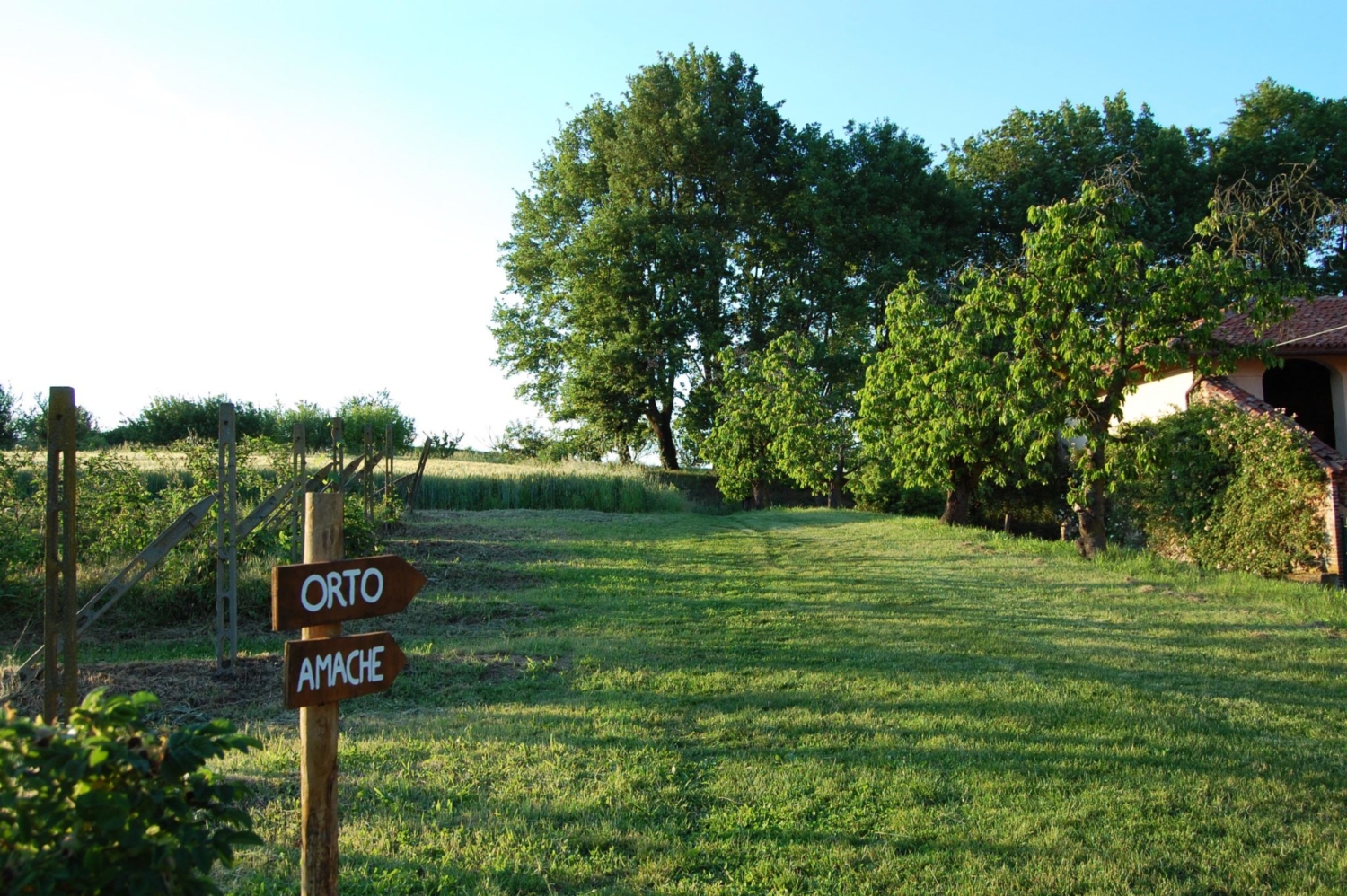 Cascina Pavassano foto 6