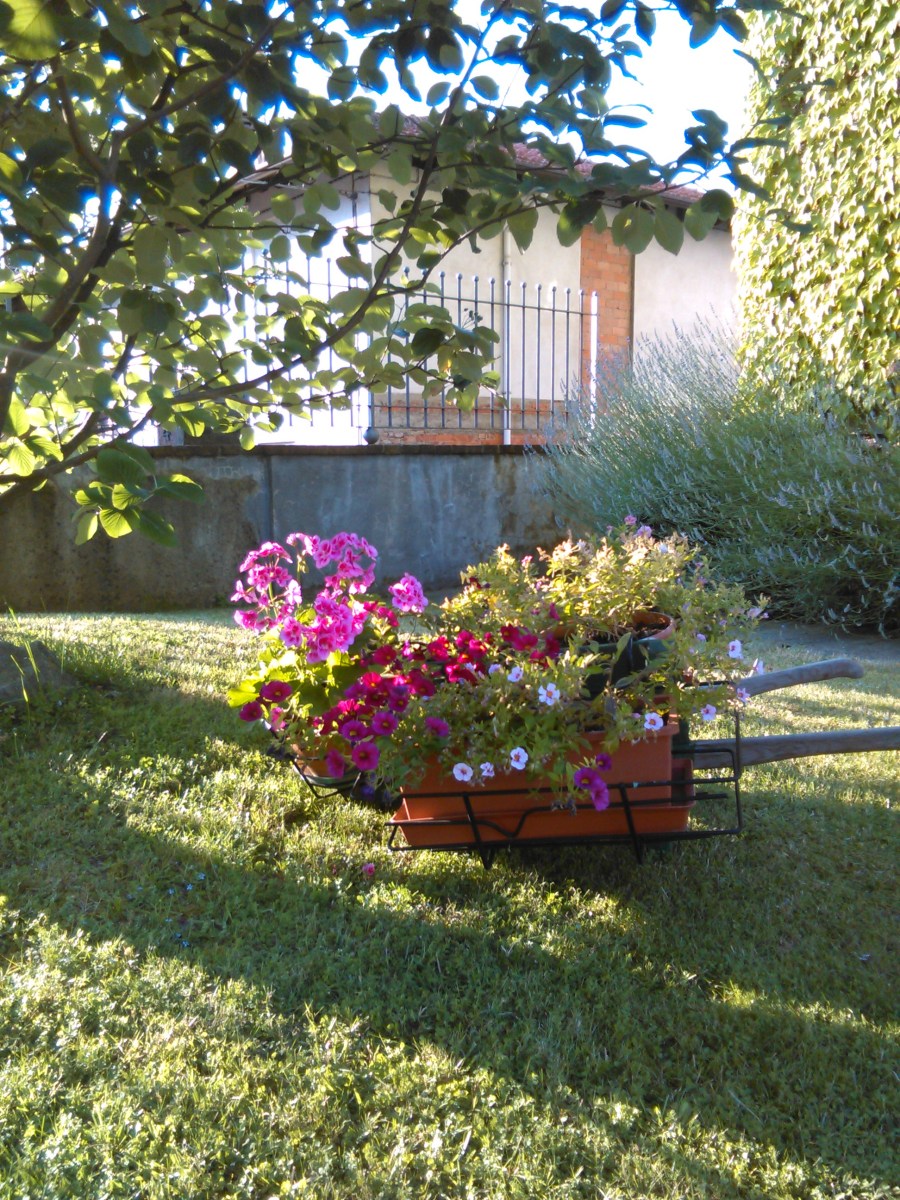 Le Terrazze Di Tavigliano - foto 2