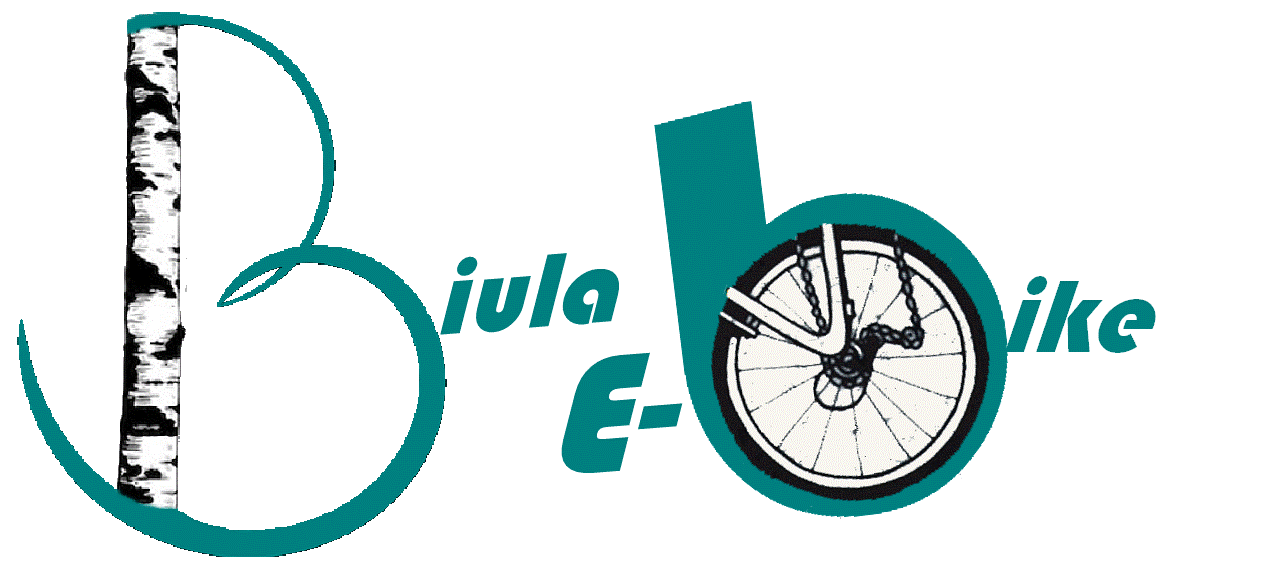 Casa Borio bed and breakfast e noleggio ebike foto 2