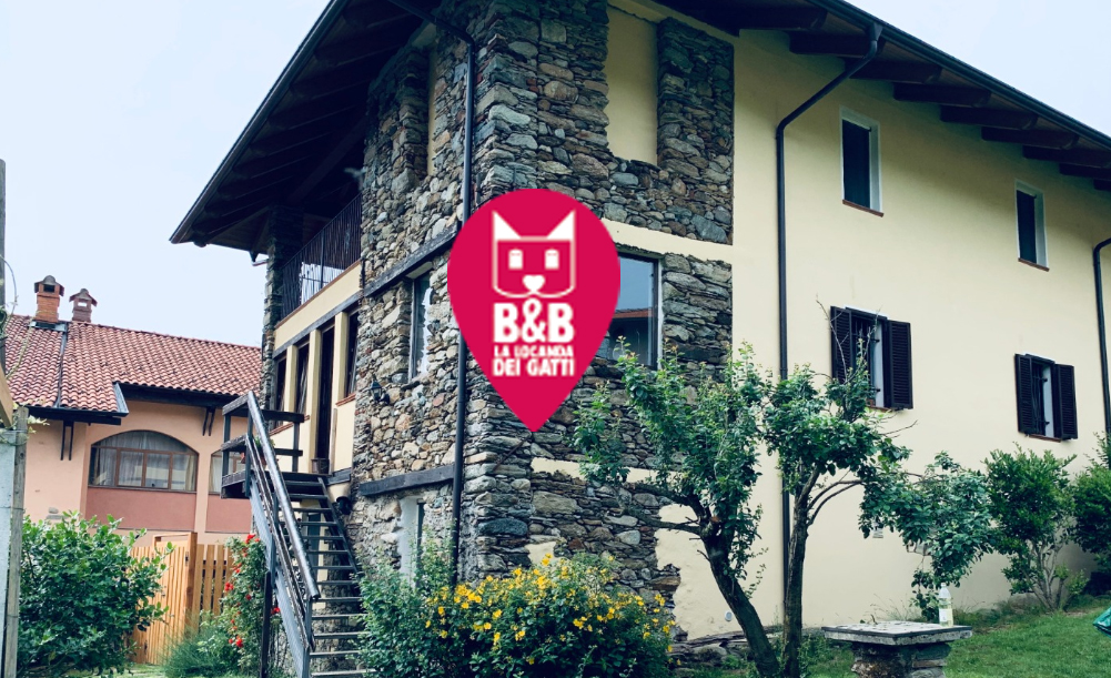 La Locanda dei Gatti - foto 6