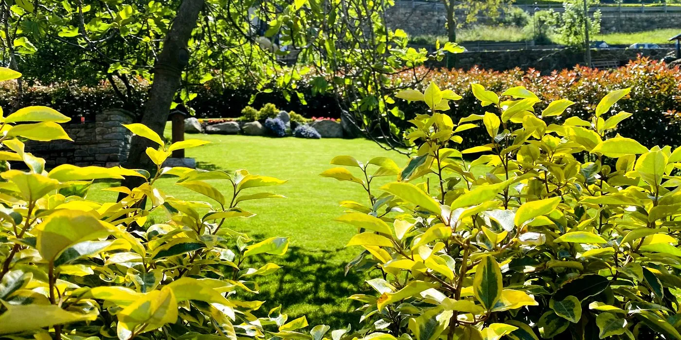 Bed and Breakfast Soffio di Vento - foto 4