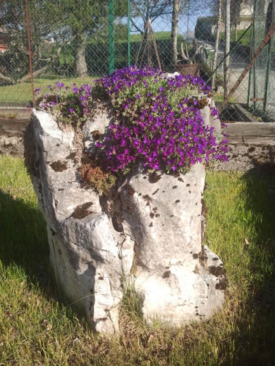 Albergo Al Sasso - foto 3