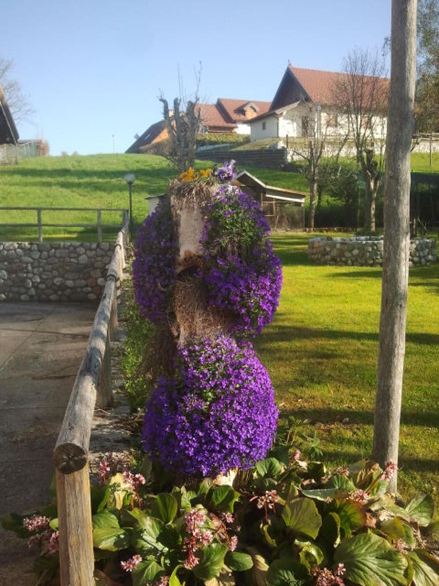 Albergo Al Sasso - foto 4