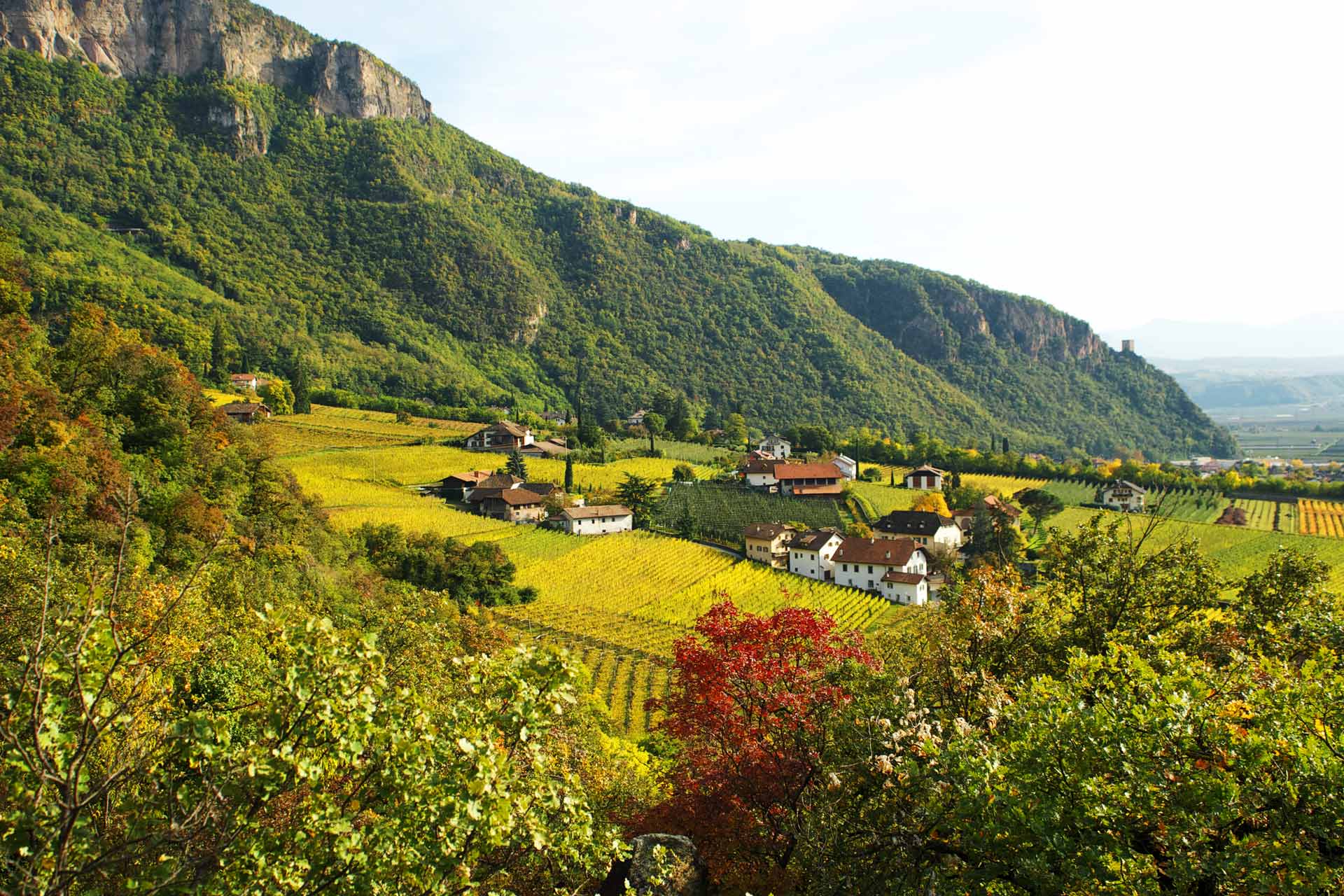 Kreutnerbinderhof foto 3
