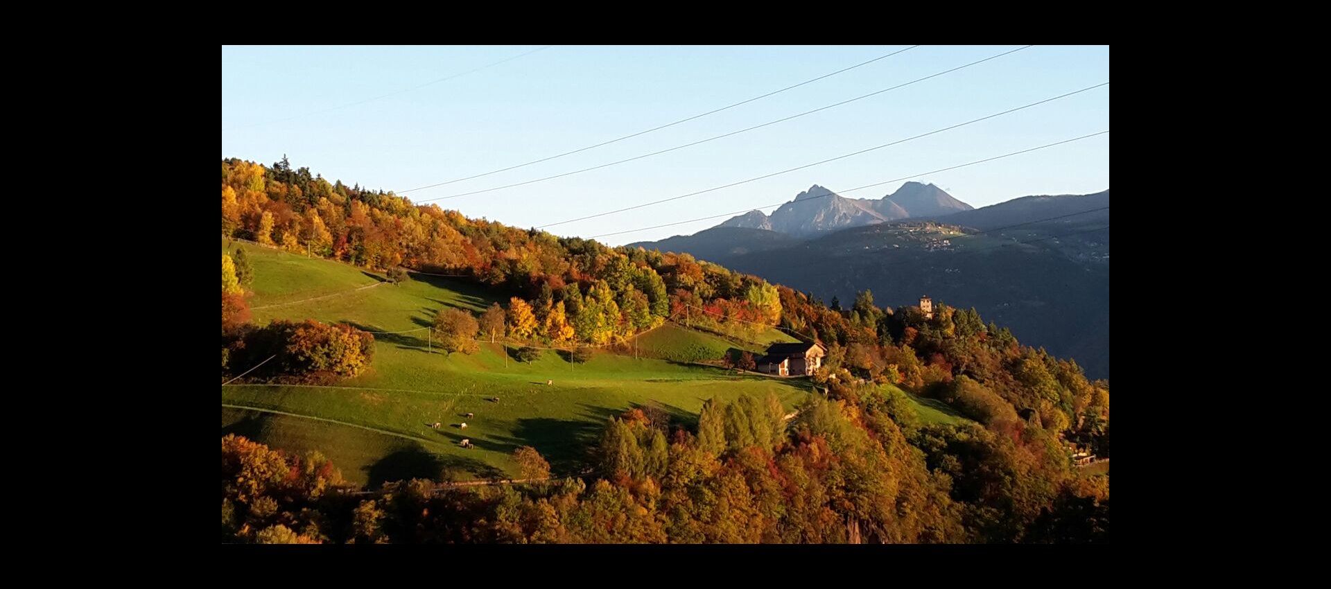 Tinnerhof - foto 4