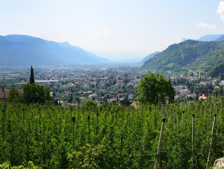 Pensione Hilpold - foto 6
