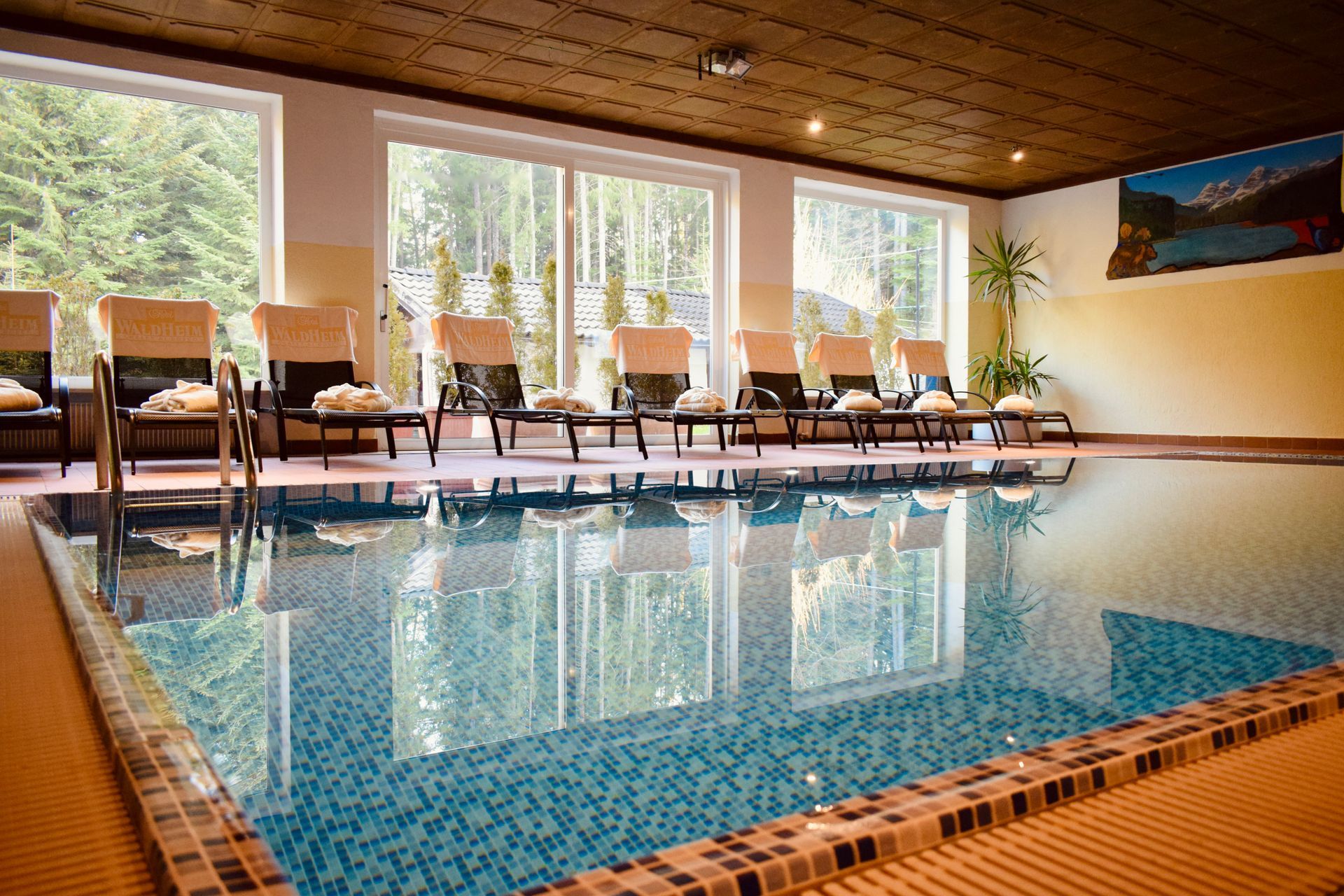 Hotel Waldheim Wellness & Restaurant - foto 5